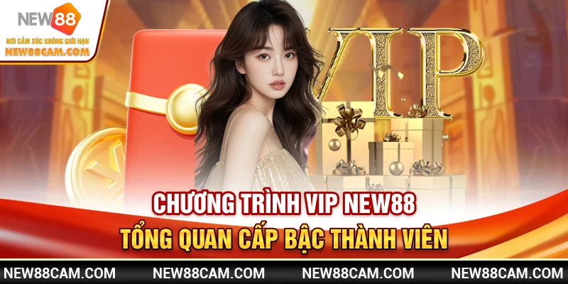 Phần thưởng & đặc quyền dành riêng cho thành viên VIP New88