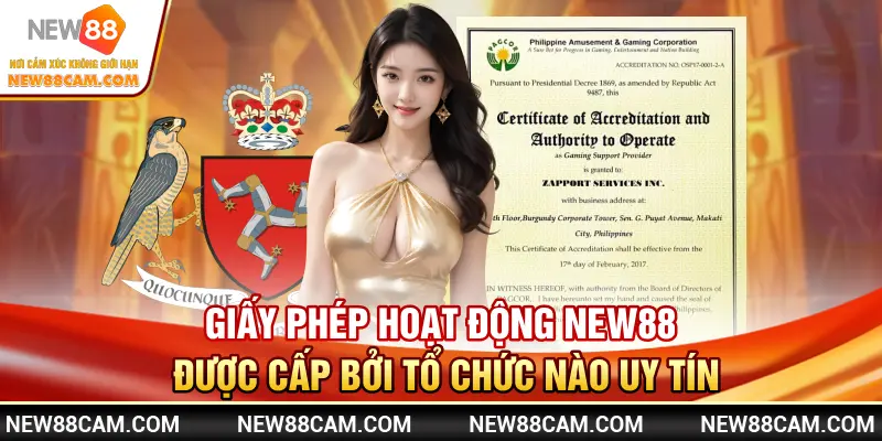 Giấy phép New88