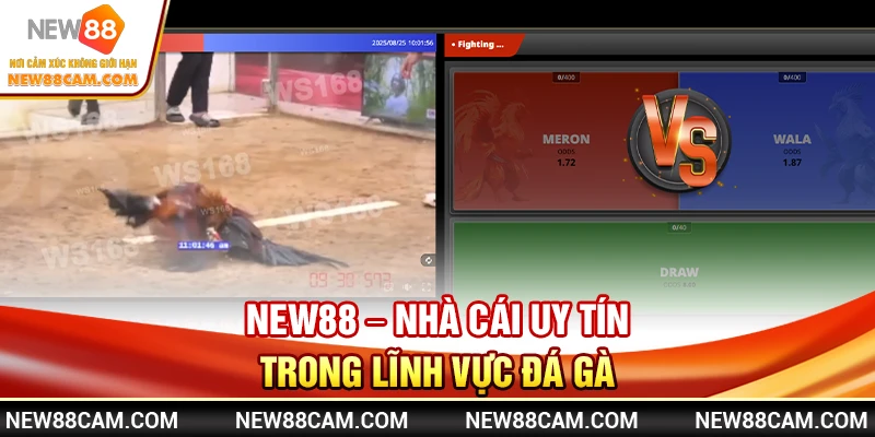 NEW88 – Nhà Cái Uy Tín Trong Lĩnh Vực Đá Gà