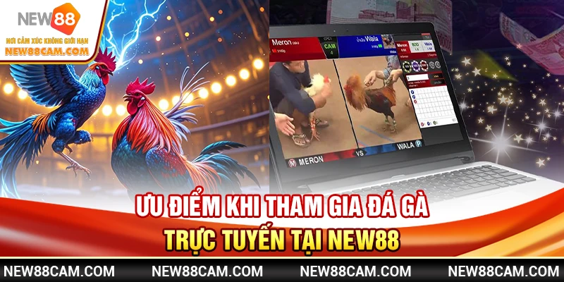 Ưu Điểm Khi Tham Gia Đá Gà Trực Tuyến Tại NEW88